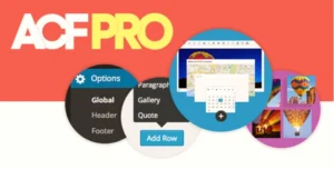 Advanced Custom Fields (ACF) Pro 6.5.0