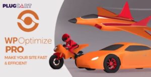 WP Optimize Premium 4.2.4