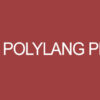 Polylang Pro 3.7.3