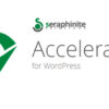Seraphinite Accelerator 2.27.40
