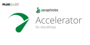 Seraphinite Accelerator 2.27.40
